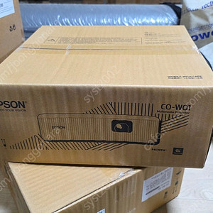 Epson CO-W01