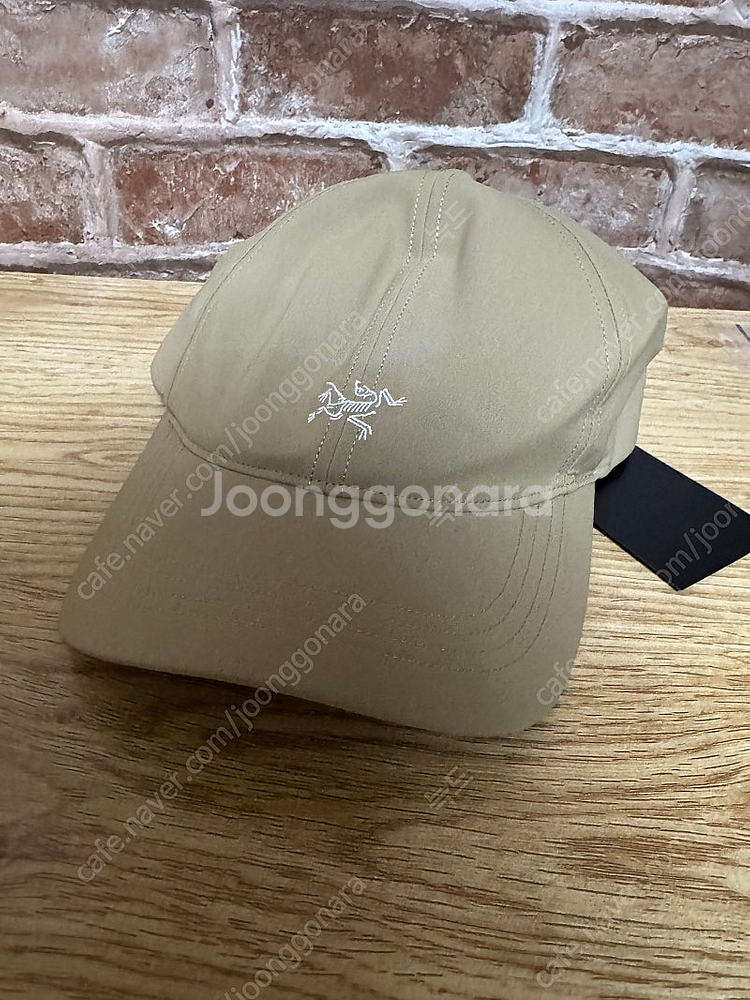 아크테릭스 스몰 버드 캡 캔버스--0