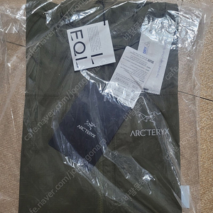 아크테릭스 스쿼미시 타츠 L