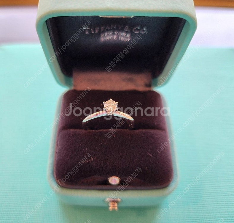 (정품)티파니앤코 6발 프롱세팅 웨딩링 0.25ct 8...--0