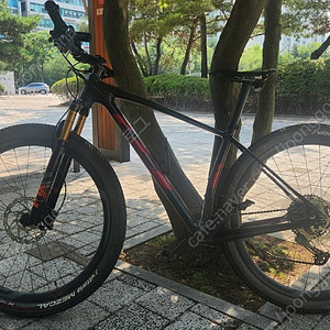 엘파마 최상급 G 바디 풀카본 XT 24단 29인치 MTB
