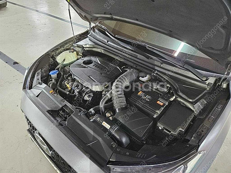 벨로스터 중고 할부 벨로스터 중고차 시세 회색 2019...--4