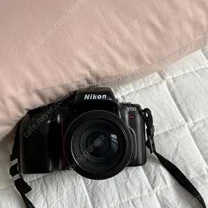 니콘F50 필름카메라