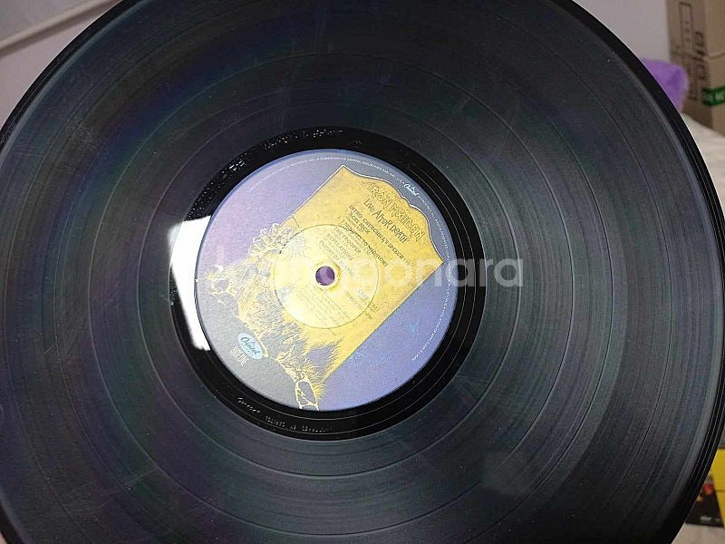 아이언메이든 엘피 Iron Maiden LP--6