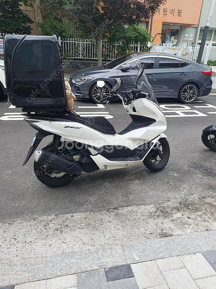 pcx125 24년식 팝니다--0