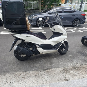 pcx125 24년식 팝니다
