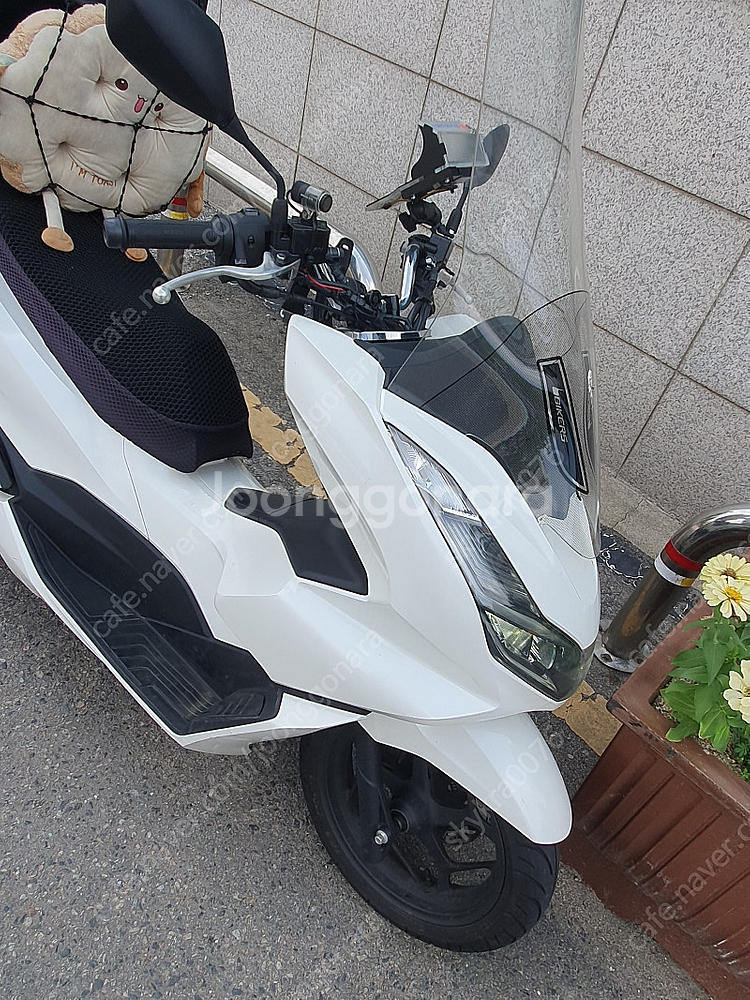 pcx125 24년식 팝니다--4