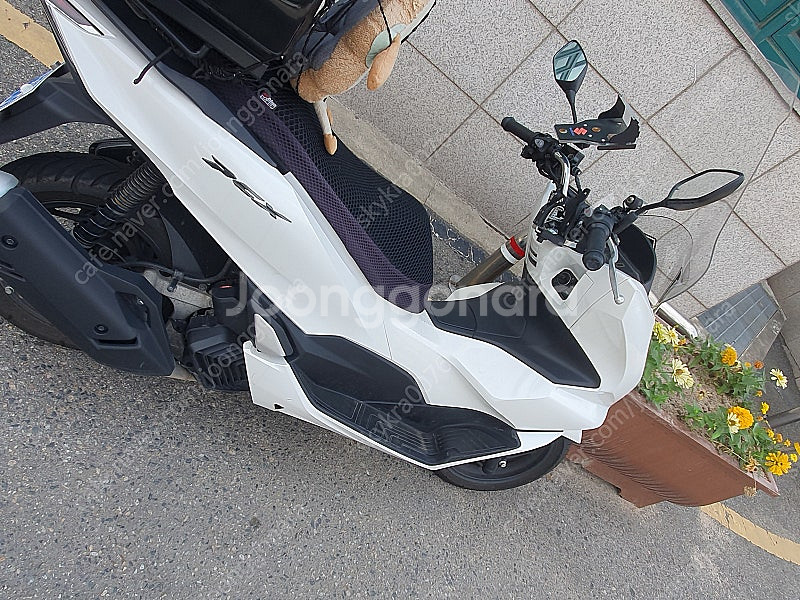 pcx125 24년식 팝니다--6
