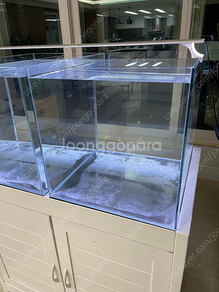 (경기 북부) 프리미엄 60큐브 올디아망 수조 6T 어...--5