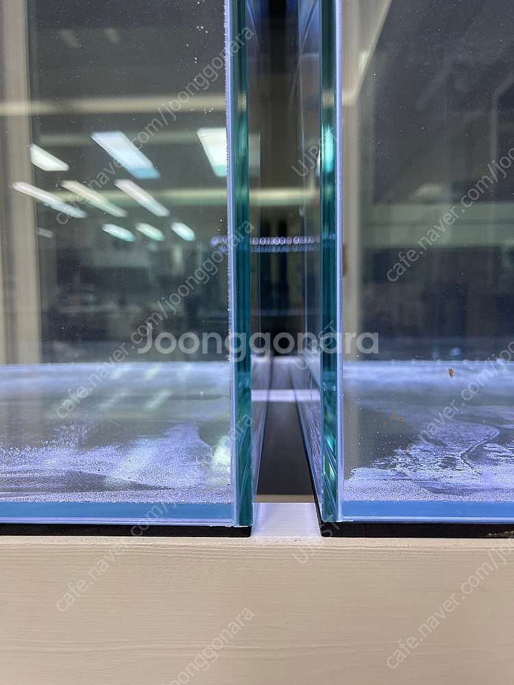 (경기 북부) 프리미엄 60큐브 올디아망 수조 6T 어...--6