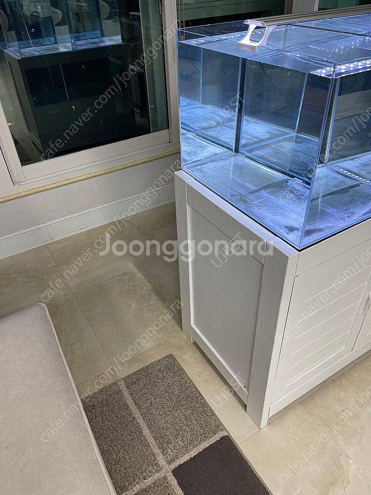 (경기 북부) 프리미엄 60큐브 올디아망 수조 6T 어...--9