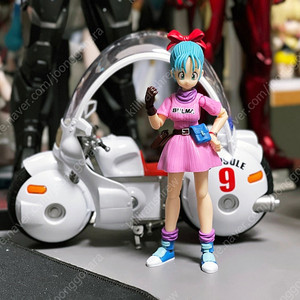 shf 호이포이 캡슐바이크, 부르마 판매합니다.