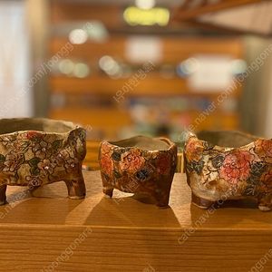 다육화분 판매합니다.