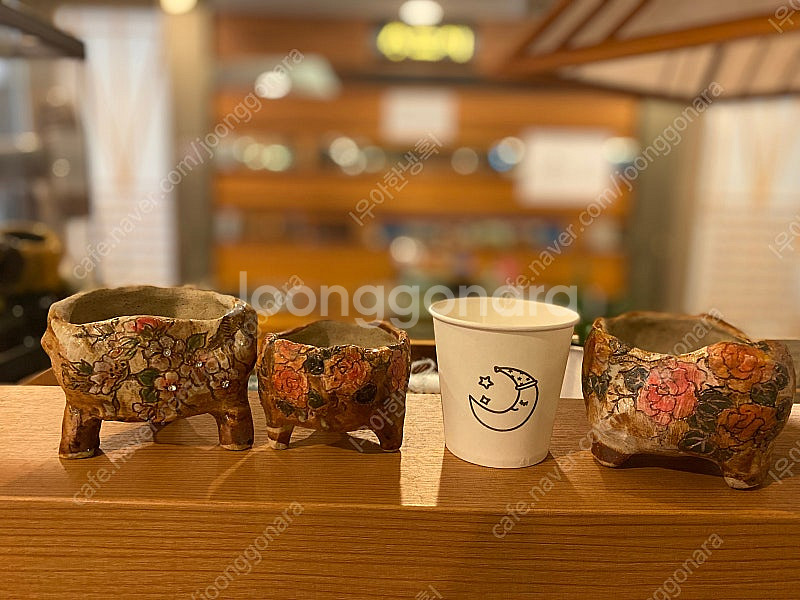 다육화분 판매합니다.--1