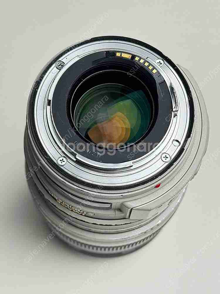 캐논 5d mark4 오막포 , 신계륵 24-70L ,...--8