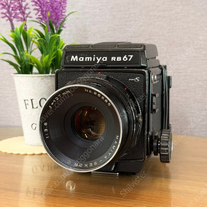 마미야 RB67 / Sekor C 127mm / 전동 필름백 (RZ67과 같음) 판매합니다