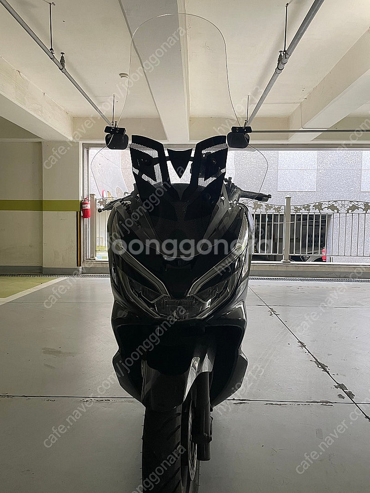 pcx125--0