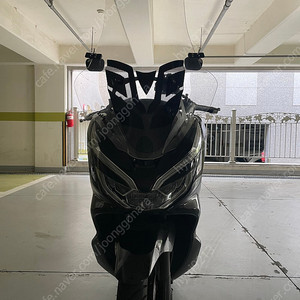 pcx125