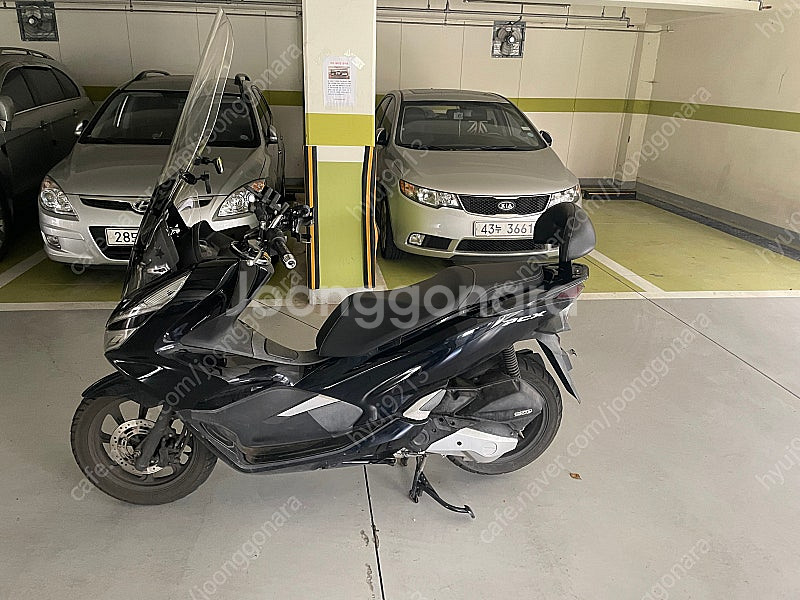 pcx125--1