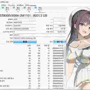 Seagate SkyHawk 8TB CCTV/NAS 겸용 HDD (ST8000VX004)