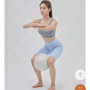 안다르 필라테스 짐볼