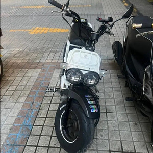 줌머50 판매