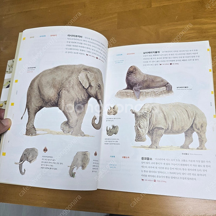 웅진 세밀화 식물.동물 도감 2권, 브리태니커 키즈 라...--2