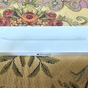 애플펜슬 USB-C 새제품급 팝니다(25년 6월26일 구매)