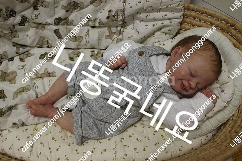 리본돌--0