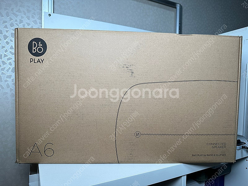 뱅앤올룹슨 베오플레이a6--0