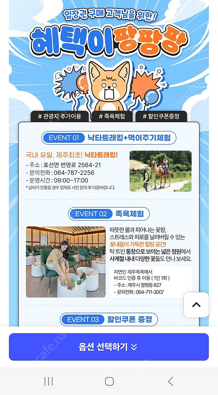 아쿠아플라넷 제주 + 낙타 트래킹 입장권 판매해요.--1
