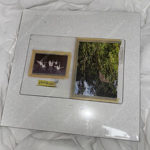 폴킴 pkalbum 다크 그린 컬러 LP 미개봉