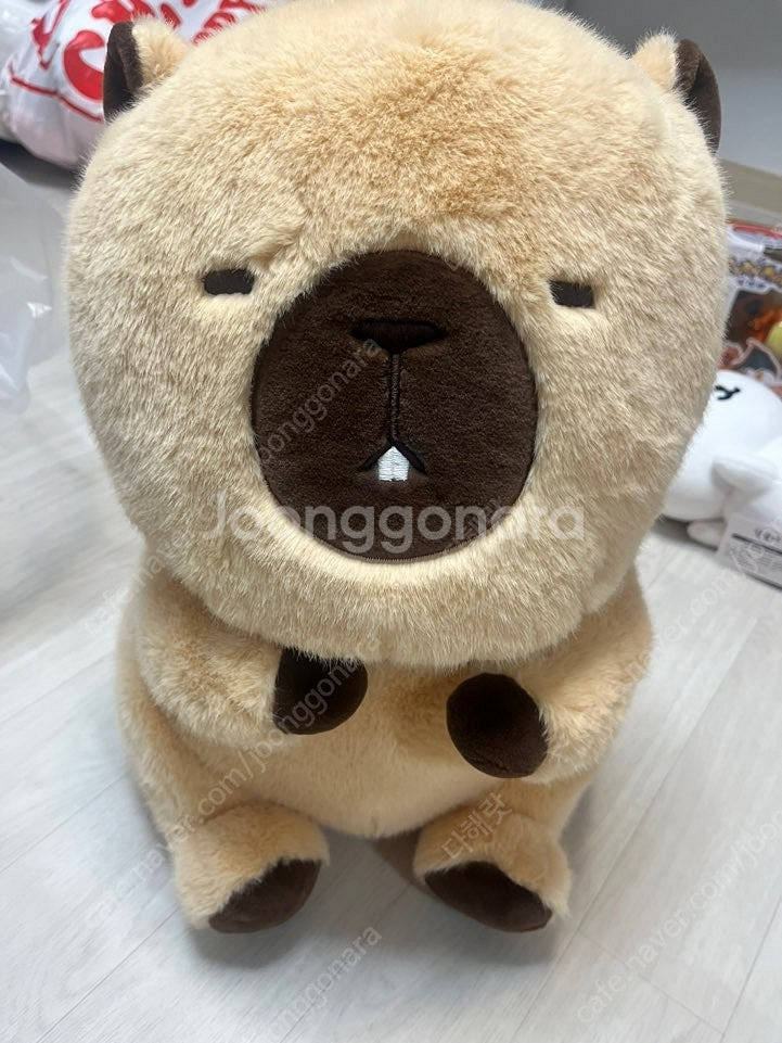 귀여운 대형인형 우소우소짱 브라운 45cm 팔아요.--2