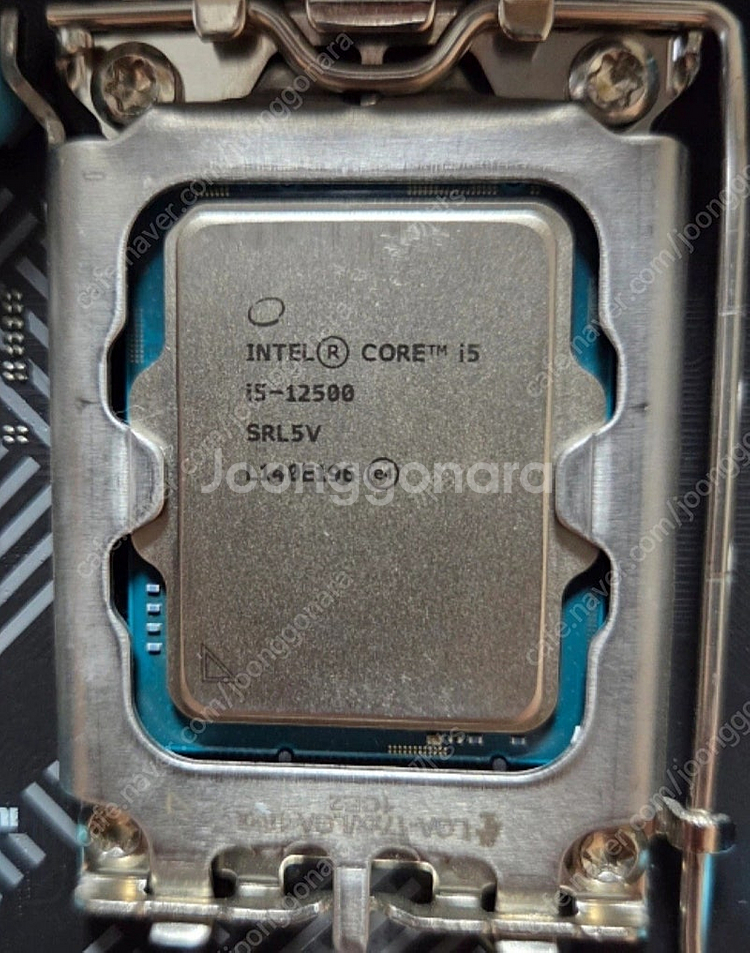 인텔 i5 12500 택포--1