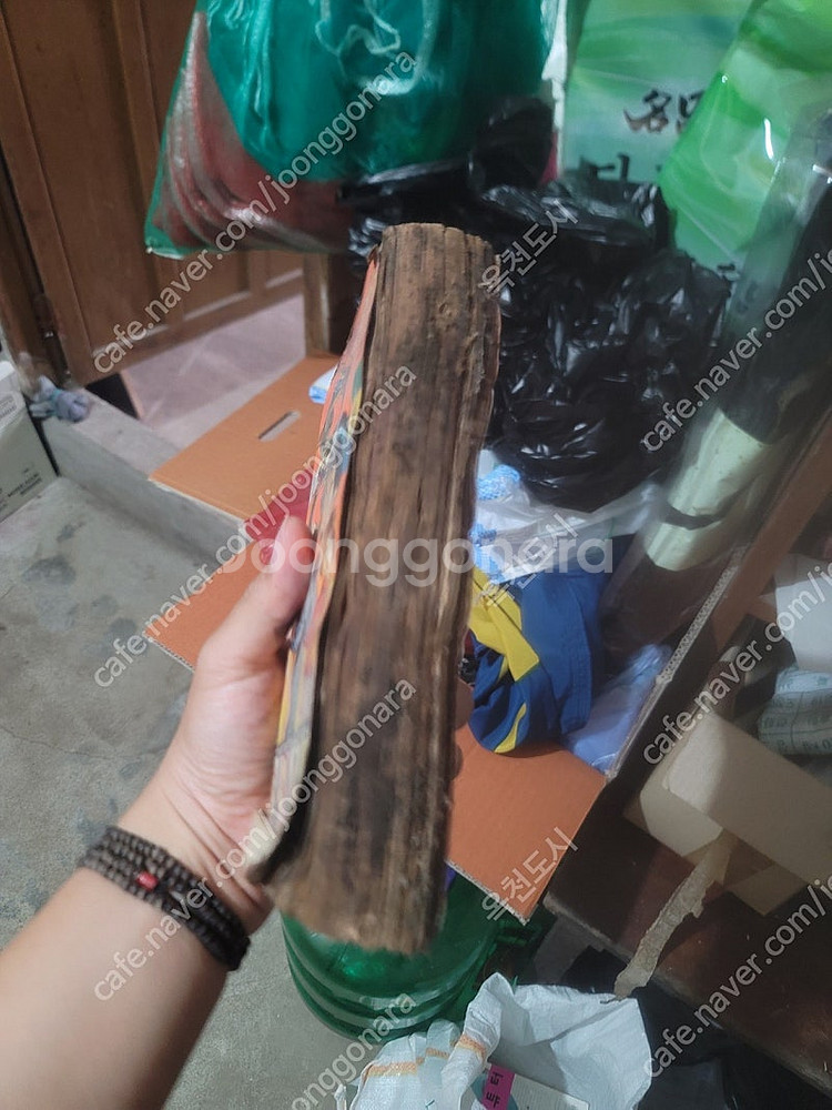빙그레문고 방랑자 쿵후보이 용 (이지문) 판매--1