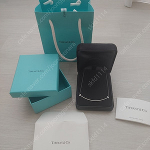 티파니앤코 스마일 목걸이 (라지 화이트골드)