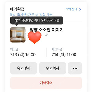 양양 소소한이야기