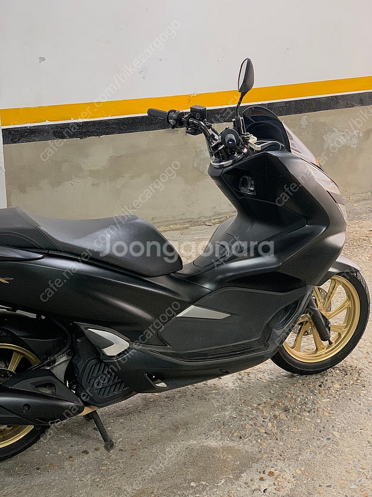 Pcx150--1