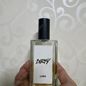 러쉬 더티 향수 100ml 팝니디