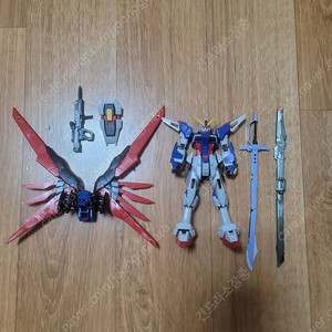 RG 1/144 데스티니 건담 건프라 프라모델 가조립