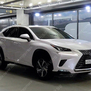 렉서스 중고차 렉서스 NX300h 중고 흰색 2019년식 43,841km 슈프림 개인사업자중고차
