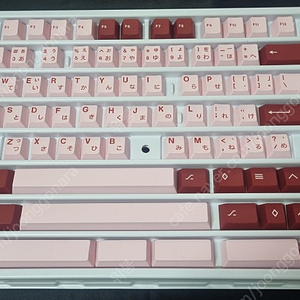 keykobo,gmk, pbtfans 키캡