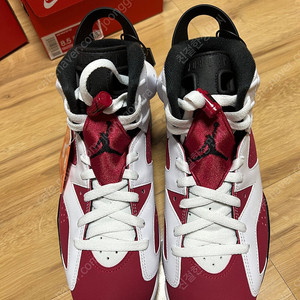 Jordan6 카마인 2021