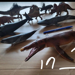 컬렉타 공룡 피규어 정품