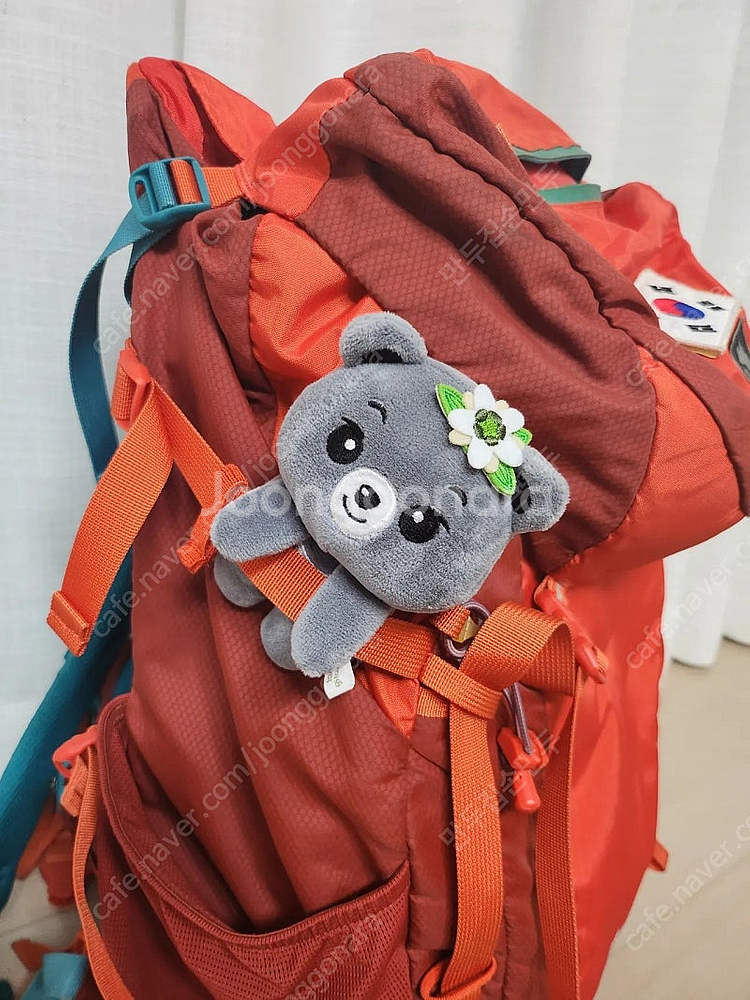 국립공원 산솜다리 빼꼼 반달이--0