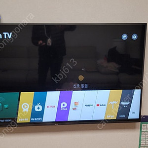 엘지전자 60인치 TV