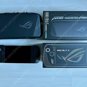 rog ally x 1tb 흑갈리