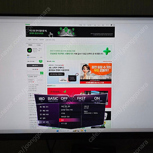 LG전자 울트라기어 32GS75Q QHD 180Hz 모니터 판매