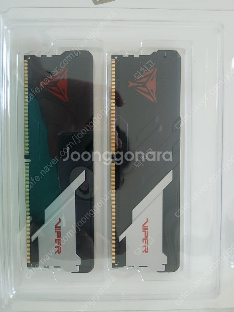 Patriot 패트리오트 DDR5-6400 CL32 6...--1