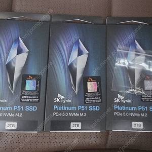 SK하이닉스 Platinum P51 NVMe SSD Gen5 PCIe5.0 2TB 미개봉
